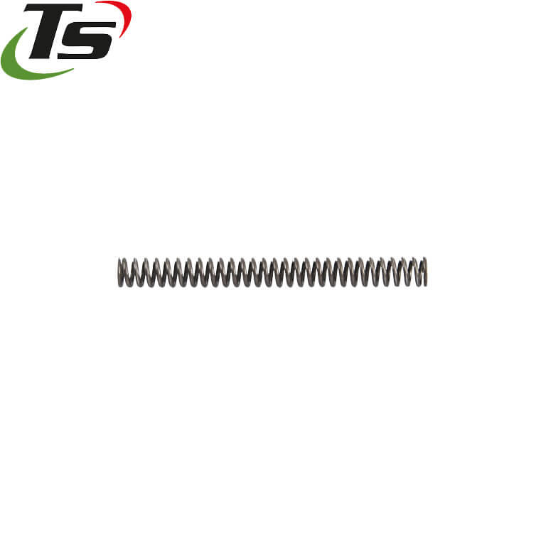 CZ Shadow 2, CZ TS 2, CZ 75B & SP-01 ressort principal